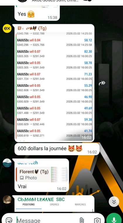 Screenshot_20260302_171147_WhatsApp